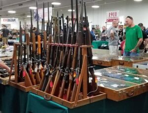 long guns